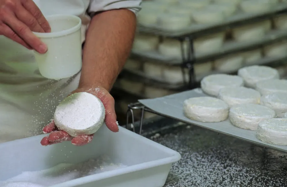 fromage frais à la ferme à La Chailleuse