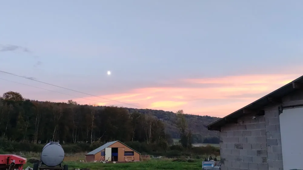 La ferme