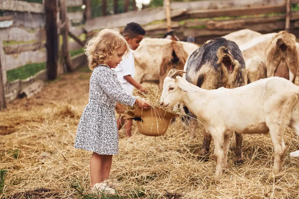 ferme pédagogique à La Chailleuse