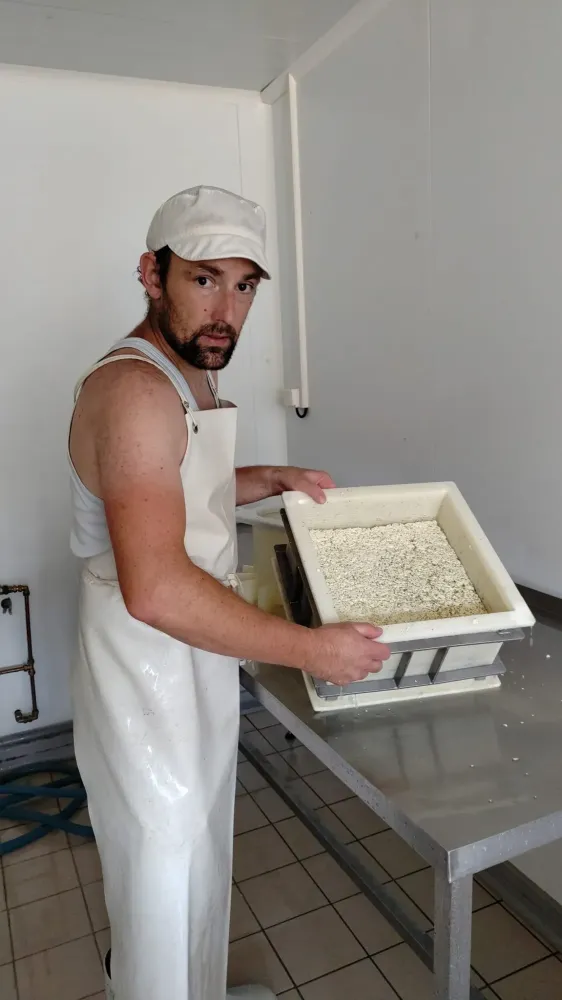 fabrication de fromages (1)
