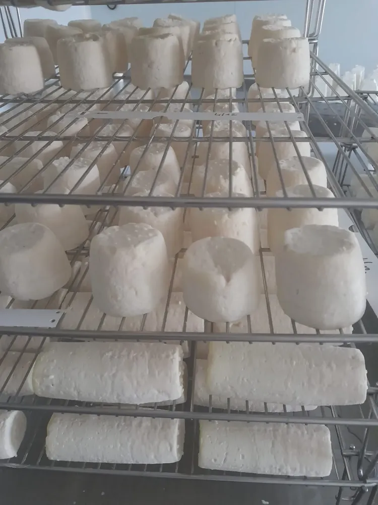 les fromages (4)