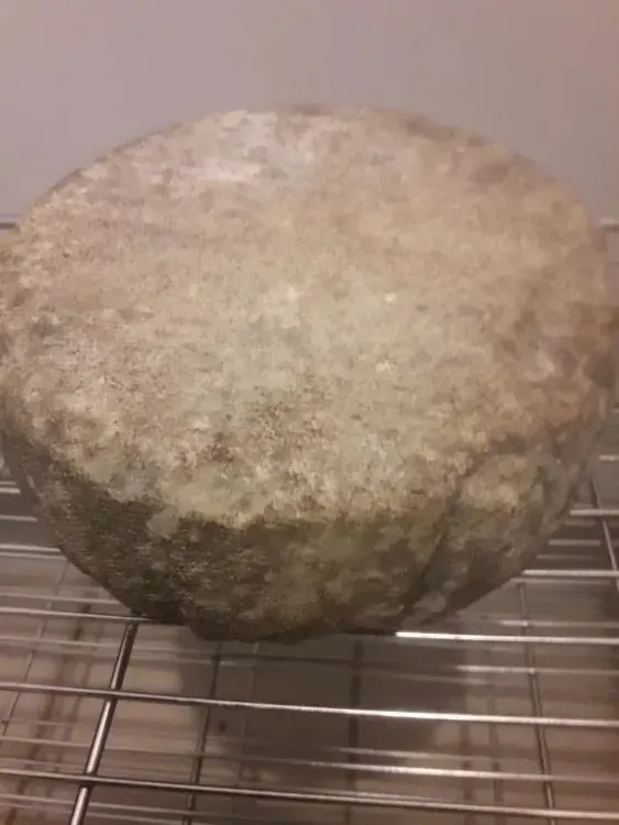 Tomme de chèvre